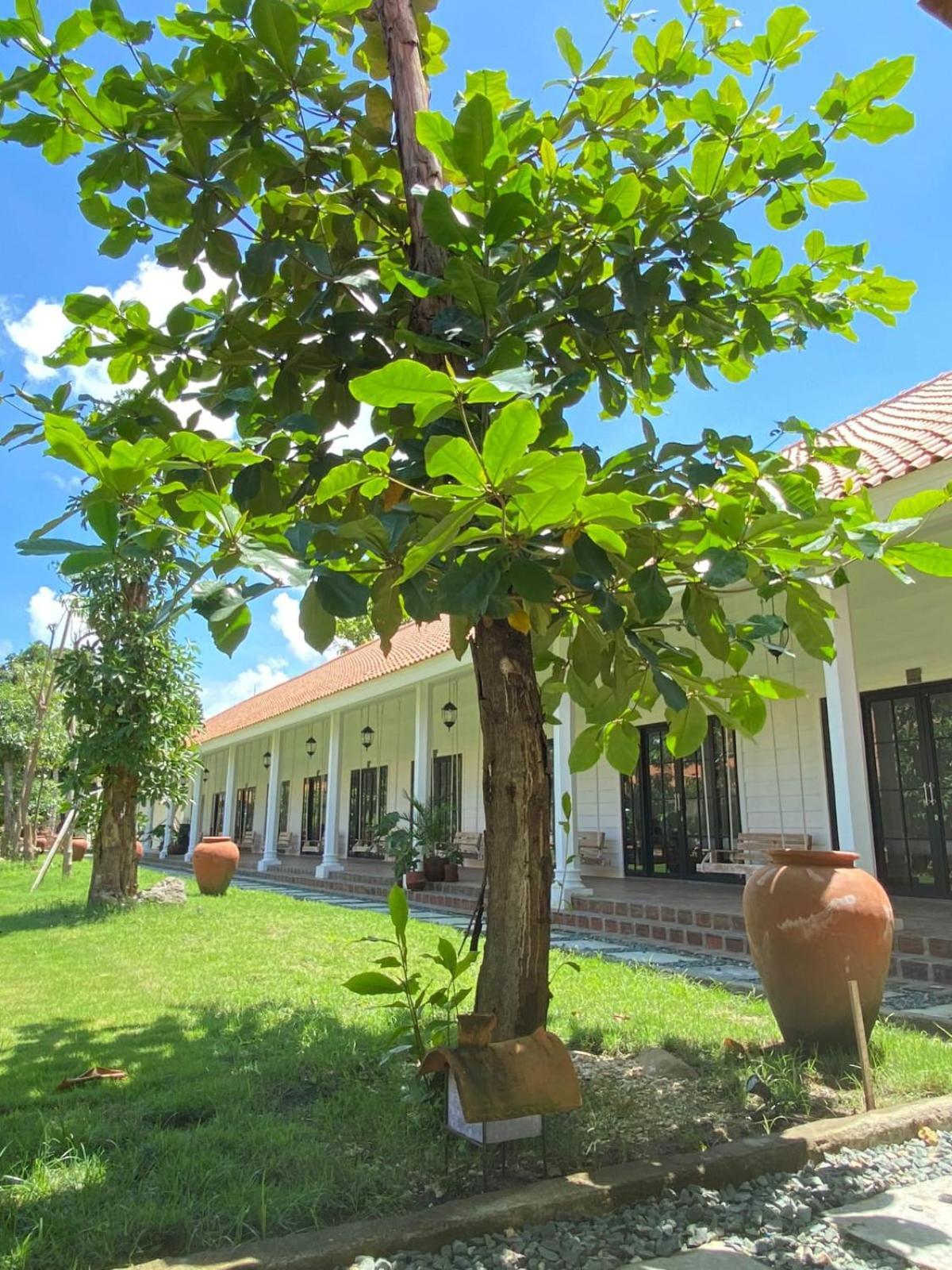 Pasir Putih Resort & Resto Maluk Екстер'єр фото